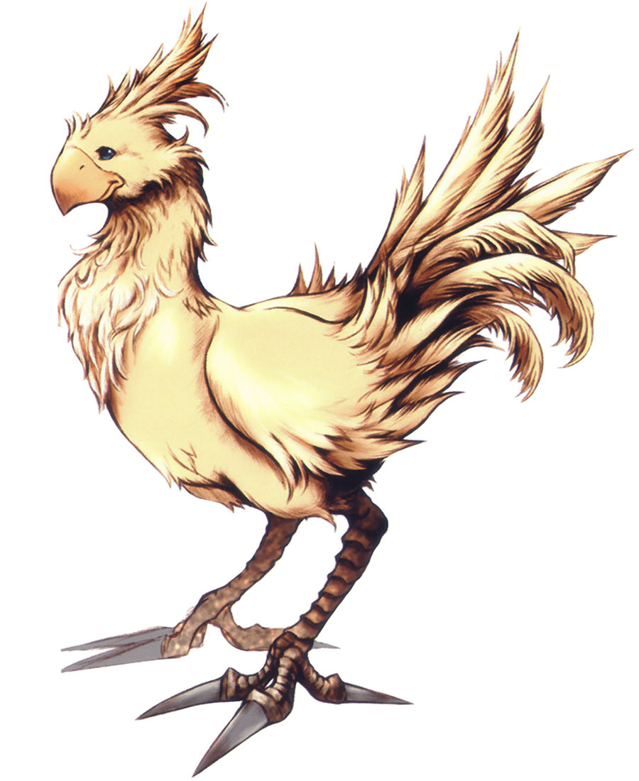 Chocobo Species Final Fantasy Wiki The Final Fantasy Encyclopedia