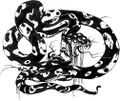 Anaconda FF artwork.jpg
