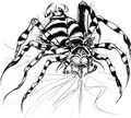 Tarantula FF artwork.jpg