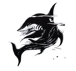 Shark FF artwork.jpg